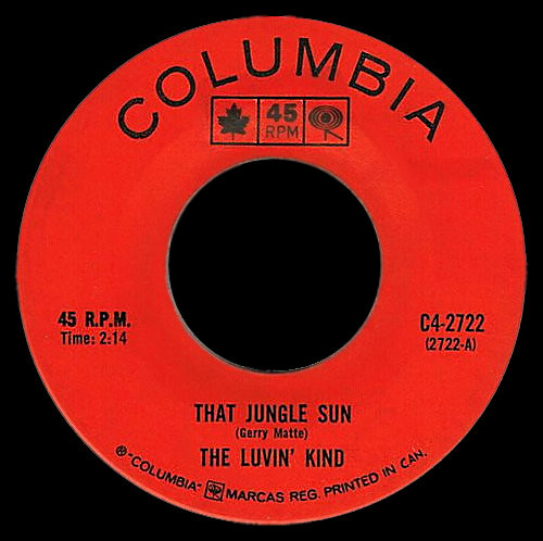 45 RPM Single -
                              That Jungle Sun