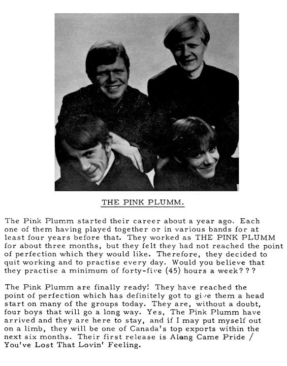 The Pink Plumm Bio